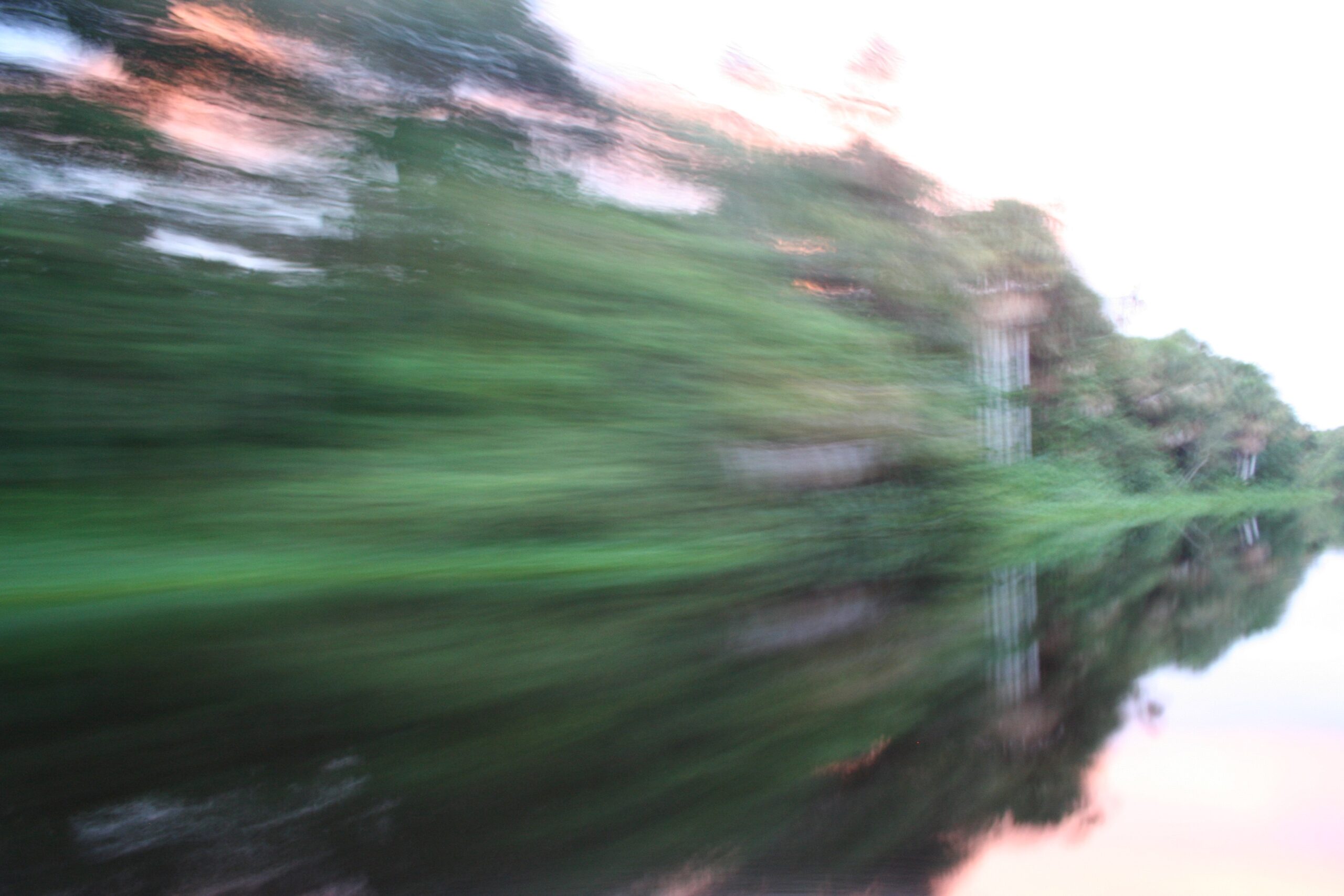 Orinocho Blurred Orinocho Blurred